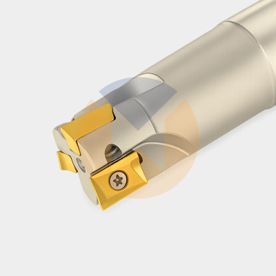 TAP100R-D22-C20-120-3T корпус фрезы MWork